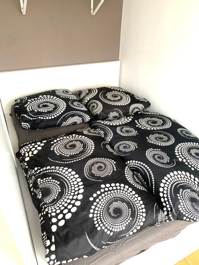 Beautiful Premium Apartment, Near University , Wifi , Free Parking Регенсбург Екстериор снимка