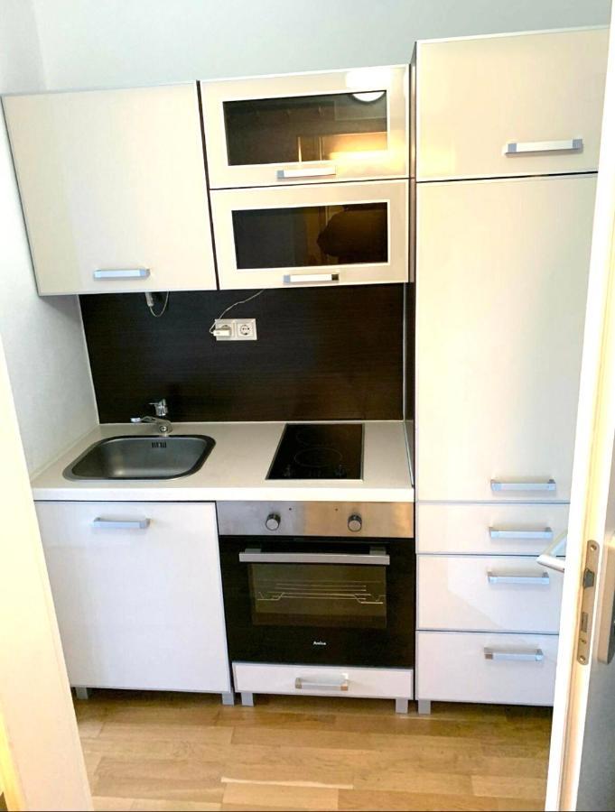 Beautiful Premium Apartment, Near University , Wifi , Free Parking Регенсбург Екстериор снимка